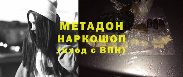 прущие грибы Аркадак