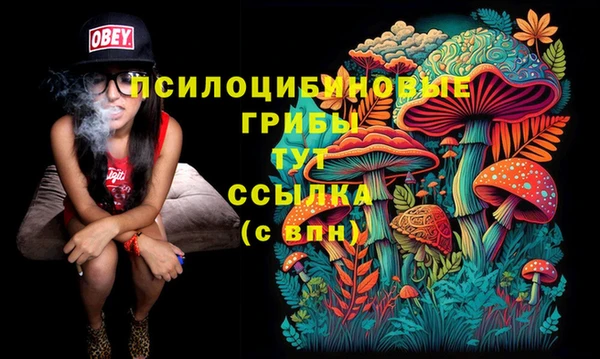 кристаллы Арсеньев