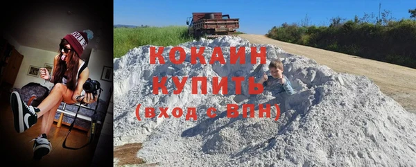 прущие грибы Аркадак