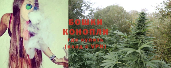 прущие грибы Аркадак