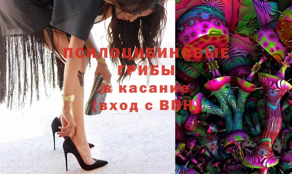 прущие грибы Аркадак