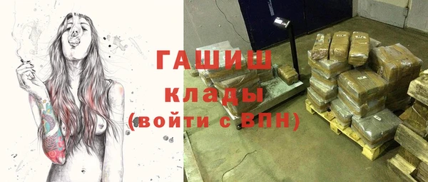 прущие грибы Аркадак