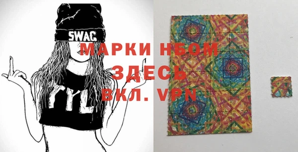 прущие грибы Аркадак
