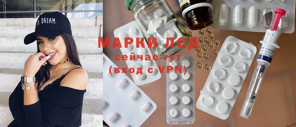 прущие грибы Аркадак